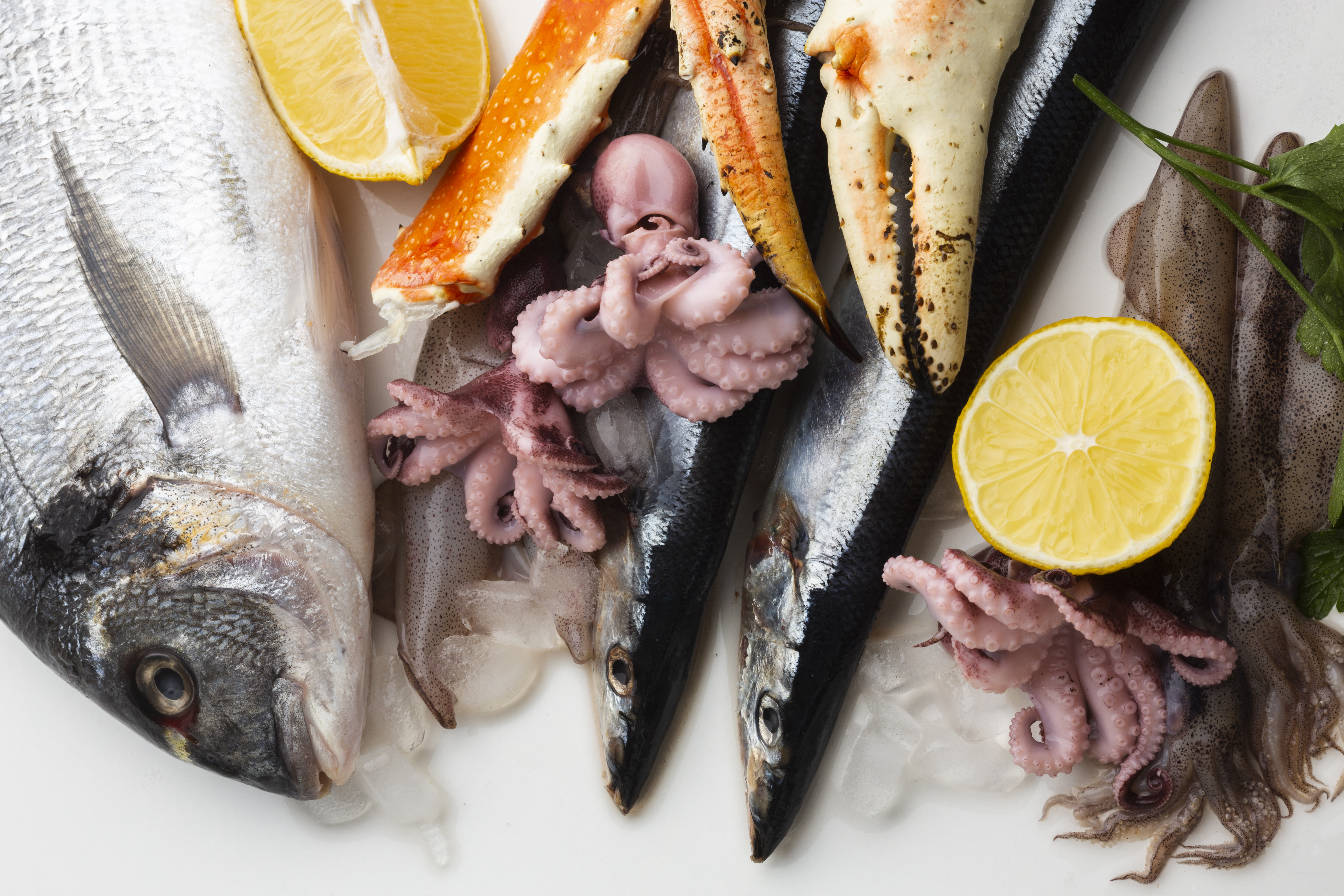 Assorted fresh seafood with lemon and ice